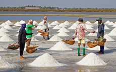 Sản xuất muối bằng phương pháp trải bạt chiếm 70%