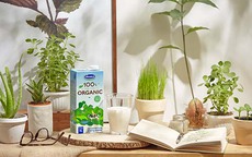 Vinamilk sản xuất sữa tươi Vinamilk 100% organic cao cấp