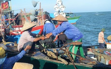 Phản đối tàu Trung Quốc cướp phá tàu cá Việt Nam