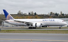 Hãng United Airlines bị kiện vì làm chết thỏ khổng lồ