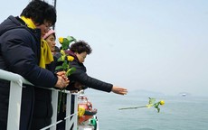 Xương tìm thấy trên phà Sewol không phải xương người