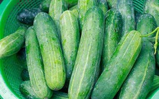 Dưa leo chữa bệnh mùa nóng