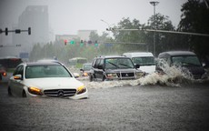 Những loại ô tô cũ dù rẻ cũng không nên mua