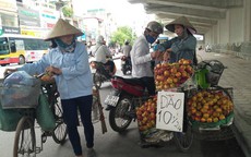 Hà Nội: 80% trái cây tại các chợ đầu mối không rõ nguồn gốc