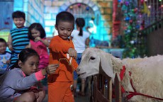 Không khí Noel ở những xóm đạo lớn nhất Sài Gòn