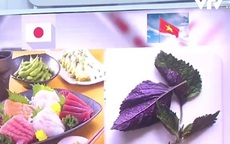 Vì sao Nhật mua lá tía tô Việt Nam tới 700 đồng một lá?