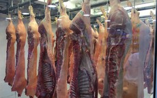 Giá thịt heo bình ổn tăng tới 7.000 đồng/kg
