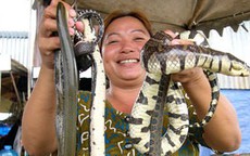 Chợ rắn gần biên giới Campuchia tấp nập mùa nước lũ