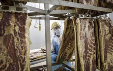 Các nước thay chân Mỹ bán thịt heo sang Trung Quốc