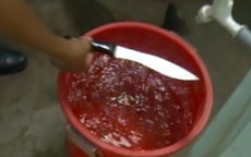 Cô gái 20 tuổi cùng nhóm bạn lên kế hoạch giết người, cướp tài sản