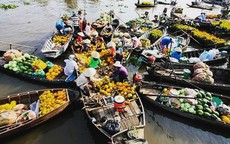 Lịch trình lênh đênh suốt 2 ngày Tết ở vùng sông nước Tiền Giang