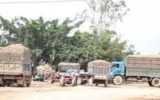 Điều tra vụ việc người dân kéo lên huyện tố bị ép bán nông sản