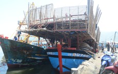 Chủ tàu cá chấp nhận lỗ hàng trăm triệu để lai dắt tàu bạn vào bờ