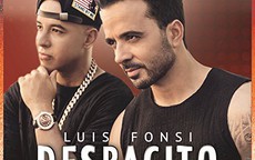Chủ nhân siêu phẩm "Despacito" 5 tỉ lượt xem  đến Việt Nam