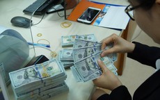 Giá USD tự do hạ nhiệt sau khi vọt lên 23.700 đồng/USD