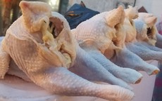 Khuyến cáo không nên mua “gà mái đẻ” 40.000 – 50.000 đồng/kg bán lề đường