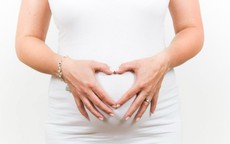 Đan Mạch trình làng buồng trứng nhân tạo đầu tiên