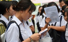 Nhiều ngả vào đời