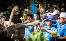 Học mà chơi, chơi mà học tại Fun Farm Hồ Mây