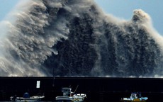 Tàu chiến và tàu ngầm Mỹ chạy khỏi Hawaii vì bão mạnh