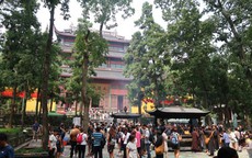 Giá tour ngoại ngày càng rẻ