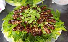 Dế chiên nước mắm ở Long Khánh ăn là ghiền