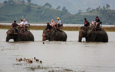 Cưỡi voi, chèo thuyền độc mộc trên hồ nước ngọt lớn nhất Tây Nguyên