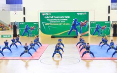 Hơn 1.000 võ sĩ nhí TP HCM tranh tài