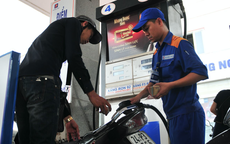 Xăng E5 đã chiếm tới hơn 60% tổng lượng tiêu thụ