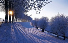 Đẹp nao lòng mùa đông ở Hà Lan
