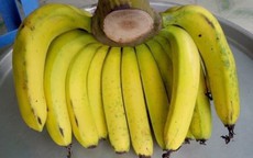 Phân biệt trái cây ngậm hóa chất tránh mua nhầm dịp Tết
