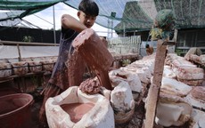 Vui vui với cảnh "đẻ" heo đất mừng năm Hợi