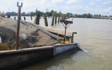 Đôi vợ chồng chở lúa thuê suýt bỏ mạng vì cái “bẫy” trên sông Cổ Chiên