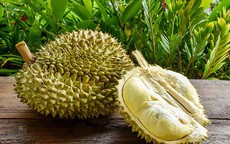 Thực hư chuyện "say" sầu riêng, mít, nước ngọt