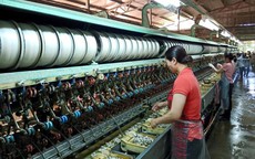 Bảo Lộc: Viên ngọc thô chờ mài giũa