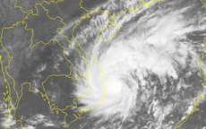 Bão số 5 giật cấp 12, chỉ còn cách các tỉnh Bình Định-Khánh Hòa 150 km