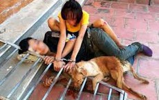 Không để "tự xử" trộm chó