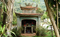 Cây đa ngàn năm 'biết đi' quanh đền cổ ở Ninh Bình