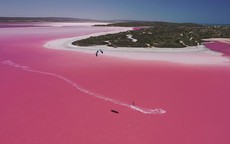 Kỳ lạ hồ nước có màu hồng tại Australia