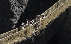 Cây cầu làm bằng cỏ cheo leo giữa vực sâu ở Peru