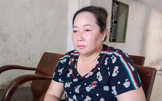 Bị kiến nghị giám đốc thẩm, "nữ hoàng lục bình" sẽ yêu cầu bồi thường oan sai