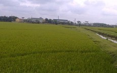 Sau buổi tập văn nghệ, chở cô gái 18 tuổi ra cánh đồng hiếp dâm