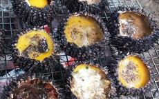 Ghẹ Hàm Ninh, nhum biển và 6 món hải sản ăn không chán ở Phú Quốc