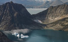 Ông Donald Trump bị chế nhạo vì ý muốn mua đảo Greenland của Đan Mạch