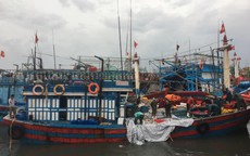 Quảng Bình: Tàu cá bị sóng đánh chìm khi vào trú bão, 2 thuyền viên gặp nạn