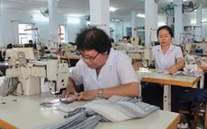 Tạo điều kiện cho người cao tuổi tham gia làm việc
