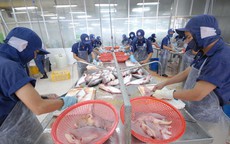 Doanh nhân hiến kế phát triển kinh tế đất nước