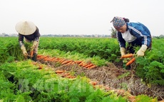 Mỗi năm chia nhau gần 6.000 tỉ đồng, làng tỉ phú hiếm có ở Việt Nam