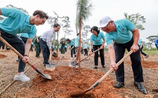 Hành trình"Một triệu cây xanh, thêm cây thêm sự sống" đến với Khu di tích lịch sử K9 Đá Chông – Ba Vì