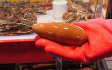 Giun thìa biển - món ăn sống của người Hàn Quốc